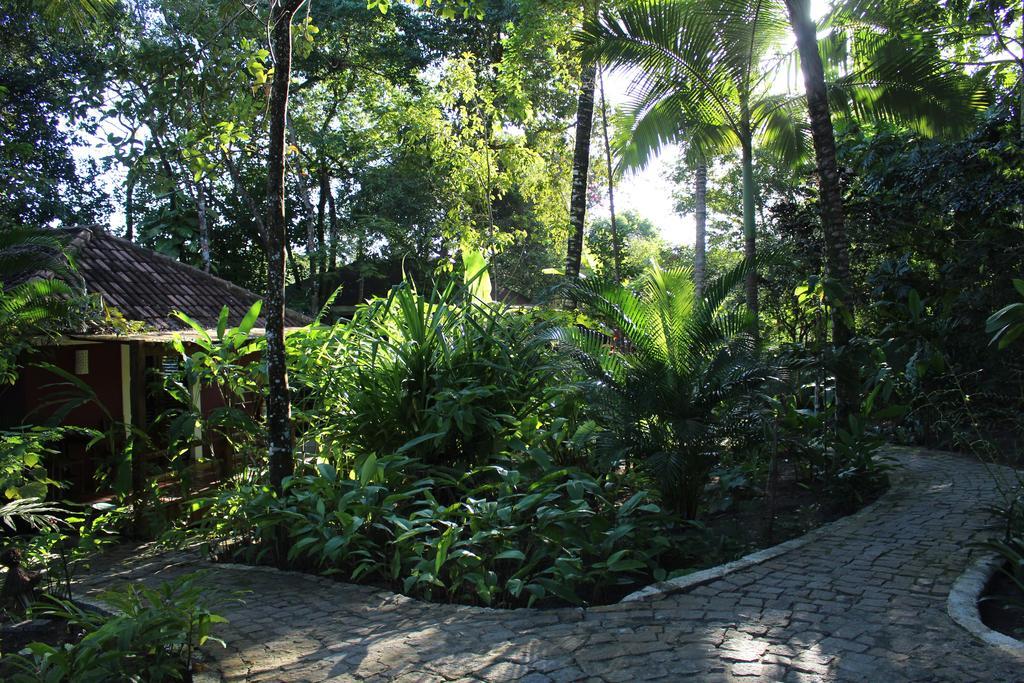 Calypso Trancoso